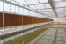 greenhouse. intelligent greenhouse. hydropnics greenhouse.