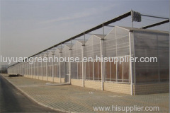 stronger skeleton Greenhouse with low price