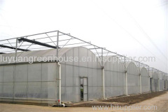 multi span greenhouse with cooling system