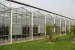 multi span greenhouse with cooling system