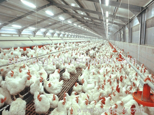 prefabricatted chicken house for poultry shed