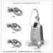 Freezefat Coolsculpting Cryolipolysis Weight Loss Salon Equipment Slimming Machine Beauty Instrument
