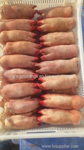 Frozen Pork Front Feet and Pork Hind Feet for sale