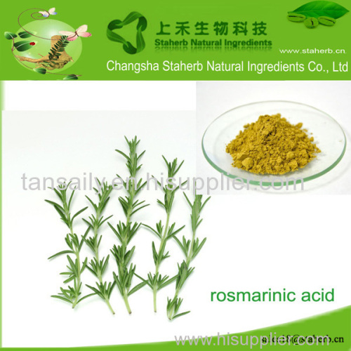 Rosemary Extract/Plant extract/natural ingredients
