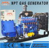 CE approved 200 kw natural gas generator