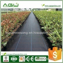 Perfect for hardscapes retaining moisture of best ground cover