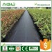 Perfect for hardscapes retaining moisture of best ground cover