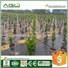 Anti UV Plastic woven weed barrier fabric for strawberry garden