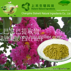 Cheap good quality Banaba extract Corosolic