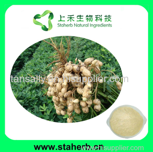 Cheap good quality Peanut shell extract; Luteolin 50%-98%
