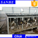 Agricultural Prefabricated steel structure Design Cattle Farm Building for Dairy Barn Unit