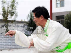 mantis training in Qufu Shaolin Kung Fu School
