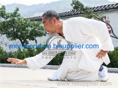 Xingyi training in Qufu Shaolin Kung Fu School