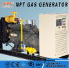 CE approved 50kw biogas generator