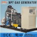 CE approved 50kw biogas generator