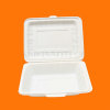 100% Biodegradable Compostable Cornstarch Disposable Takeaway One-shot Carryout Box