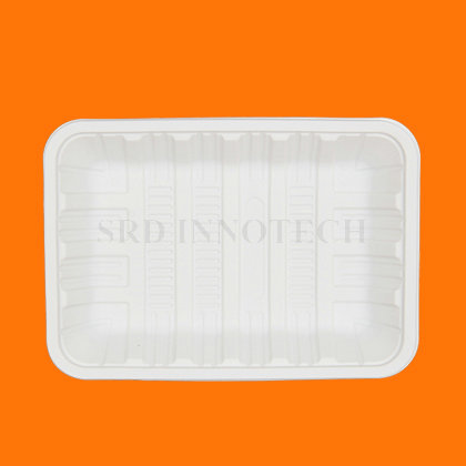 New Cornstarch Material Eco-Friendly China Made 8 Inches Disposable Plate Dishes