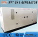 Customized CE approved 100 kw LPG generator