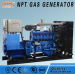 Customized CE approved 100 kw LPG generator