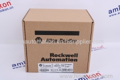 Hot Selling Spare Parts ALLEN BRADLEY ControlLogix 20 Pin Spring TRM Block