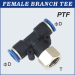 Female Branch Tee