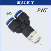 Male Y