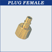 Plug Female