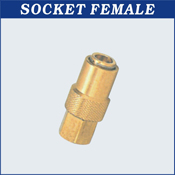 Socket Female