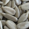 Hot Sale Sunflower Seed Kernel