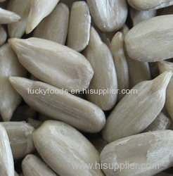 Hot Sale Sunflower Seed Kernel