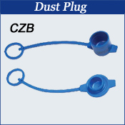 Dust Plug