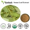 Senna Leaf Extract Grape Seed Extract Ginger Extract Astragalus extract Fenugreek extractTribulus terrestris extract