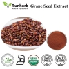 Grape Seed Extract OPC