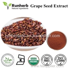 Senna Leaf Extract Grape Seed Extract Ginger Extract Astragalus extract Fenugreek extractTribulus terrestris extract