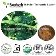 Senna Leaf Extract Grape Seed Extract Ginger Extract Astragalus extract Fenugreek extractTribulus terrestris extract