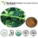 natural Senna Leaf Extract