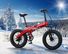Electric Bike (Snow Bicycle)