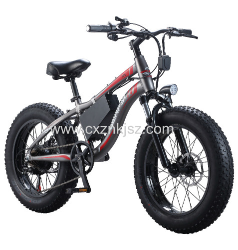 Electric Snow Bike Bicycle