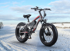 Electric Snow Bicycle Bike