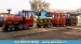 18 Persons Shopping Mall Electric Trackless Train for Sale