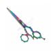 Classic Hair Cutting Scissors Coated