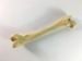 собака / собака научный скелет модели / бедренной кости и голени для ветеринарного образования и практики использования