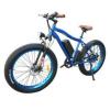 26inch rear drive MTB beach 48v1000w bafang fat electric bike