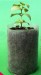 bio-degradable bag non woven natural Bag Fabric ECO BAG plant bag woven bag for planter growing bag Non-woven Nursery