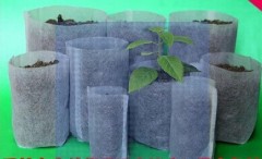 bio-degradable bag non woven natural Bag Fabric ECO BAG plant bag woven bag for planter growing bag Non-woven Nursery