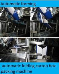 Automatic carton box folding machine