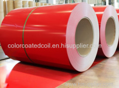 cold rolled or galvanized steel coil