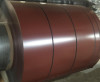 cold rolled or galvanized steel coil