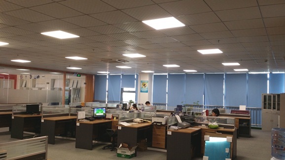 Our Office
