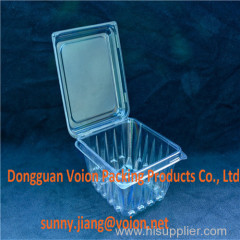 Clear Plastic Fruit Storage Box with PP or PS Pet Material